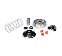 MALOSSI 519019 VARIATORE MULTIVAR 2000 D.19 PIAGGI