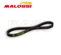 Malossi 6115668 Cinghia X K Belt MHR 19x10,2x815mm Angolo 28° Piaggio NRG - FLY