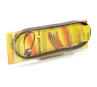MALOSSI 6116421 Cinghia X K belt PIAGGIO X9 250