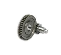 MALOSSI 6714775 Ingranaggi Secondari HTQ Z 14/43, Compatibile con Aprilia, Yamaha, Malaguti, MBK, Italjet