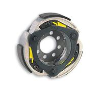 MALOSSI - Frizione Maxi Delta Clutch - WT MOTORS MIAMI 250 4T LC (172 mm)