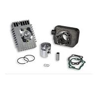 Malossi Gruppo Termico Cilindro 43 mm spin 12 Piaggio Grillo 50 1989 1990 1991