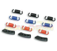 MALOSSI Kit 9 molle MHR per frizione Fly e Delta, nero