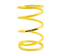 Malossi Kit Molla Frizione 29 7042.y0