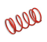 Malossi Kit Molla Frizione 29 7046.r0