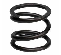 Malossi Kit Molla Frizione Vespa 2919858b