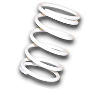 Malossi Molla Del Regolatore Del Variatore Blanco Kymco Superdink 300
