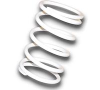 Malossi Molla Del Regolatore Del Variatore Blanco Kymco X-citing 400