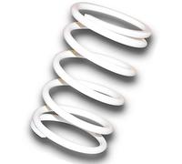 Malossi Molla Del Regolatore Del Variatore Blanco Suzuki Burgman 400 K10