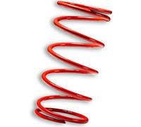 Malossi Molla Del Regolatore Del Variatore Rojo Piaggio 400/500