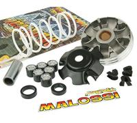 NUOVO KIT VARIATORE MALOSSI MULTIVAR 519019 SCOOTER PIAGGIO FREE 50 2T <-2000