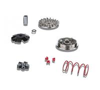 MALOSSI Multivar MHR MOTOWELL Magnete RS 2 tempi