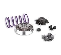 Malossi Muvar Free 100 4T - Variatore