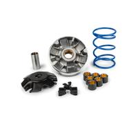 MALOSSI Variator Multivar 2000, per Peugeot 100 Elyseo/Looxor/Speedfight/SV/Trekker/Vivacity/X-Fight, 2T AC 19 x 15,5 mm, 6 ruote, 111,0 g, per modelli con cat