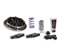 MALOSSI VARIATORE KYMCO AK 550 550 ie 4T LC euro 4 2017-> (SAA1) 5118058