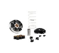 MALOSSI Variatore Multivar 2000