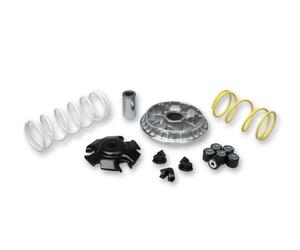 MALOSSI Variatore Multivar 2000