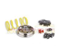 MALOSSI Variatore Multivar 2000.MALAGUTI Ciak 100,