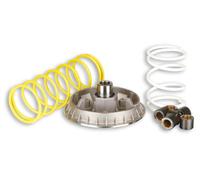 MALOSSI Variatore Multivar 2000 per Honda 250 SV, per Peugeot 250 Foresight, per Piaggio 250 X9 (Honda Motor), 4T, LC 23 x 18 mm, 6 ruote, 18 g