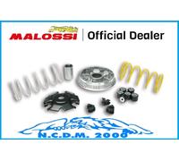 MALOSSI VARIATORE MULTIVAR 2000 VESPA Primavera iGet 125 ie 4T euro 4 2016 2017