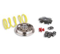 MALOSSI Variatore Piaggio Sfera/Zip, 50 ccm 2T AC 6,1 g, molla gialla, ruote 16 x 13 mm