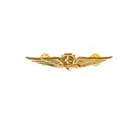 MALSSE Spilla da aviatore in metallo con ala pilotata spilla da bavero per capitano petto distintivo aviazione ala distintivo compagnie aeree pin per volo pilotato, Metallo