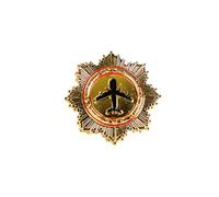 MALSSE Spilla da aviatore in metallo con ala pilotata spilla da bavero per capitano petto distintivo aviazione ala distintivo compagnie aeree pin per volo pilotato, Metallo