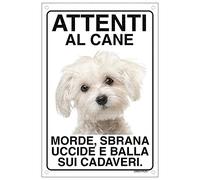 MALTESE Attenti al cane morde sbrana uccide e balla sui cadaveri (15X20)