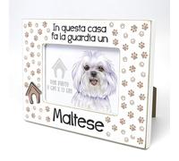 MALTESE - Cornice per foto con testo. Cornice con motivo di cane. Una foto, una foto con un animale domestico. Da appoggiare o appendere. Un regalo per ogni amante dei cani.