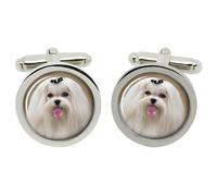 Maltese Terrier Gemelli IN Cromo Scatola