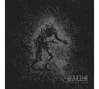 MALUM - FROM THE VOIDS