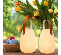 MALUX Lampada da tavolo a LED con telecomando, luce bianca calda, 8 colori, dimmerabile, per esterni, impermeabile, ideale per la casa e il giardino, 2 confezioni di decorazioni pasquali (small)