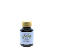 MALVA 70 CAPSULE 500 mg E.S. titolato (ED/ 4:1) Proteggie le mucose con uno stra
