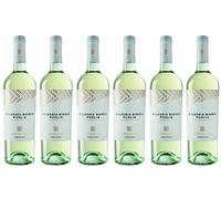 Malvasia Bianca Puglia Igp Paololeo Varietali 2024 PaoloLeo bott. 6 x 0,75 l