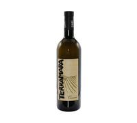 Malvasia Colli Piacentini DOC Terramara 2023 - Camorali