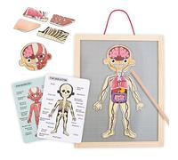 mamabrum Puzzle Corpo Umano per Bambini da 3 Anni, Gioco Corpo Umano Magnetico con 74 Pezzi, Anatomia per Bambini con 2 Carte Fronte-Retro, Scheletro, Muscoli, Organi e Puntatore
