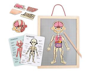mamabrum Puzzle Corpo Umano per Bambini da 3 Anni, Gioco Corpo Umano Magnetico con 74 Pezzi, Anatomia per Bambini con 2 Carte Fronte-Retro, Scheletro, Muscoli, Organi e Puntatore