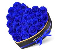 MAMAMIKO 27 Rosa Stabilizzata Vera in Forma Cuore,Rosa Eterna Regalo per Lei Donna Fidanzata Mamma Ragazza,Fiori Stabilizzati Regali San Valentino,Compleanno,Festa della Mamma,Anniversario(Rosa Blu)