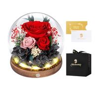 MAMAMIKO Rosa Stabilizzata Vera con Luci LED,Fiori Rose Eterna la Bella e la Bestia,Regalo per Lei,Idee Regalo San Valentino,Compleanno,Anniversario per Donna Fidanzata Mamma,Festa della Mamma(Rossa)