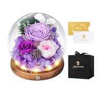 MAMAMIKO Rosa Stabilizzata Vera con Luci LED,Fiori Rose Eterna la Bella e la Bestia,Regalo per Lei,Idee Regalo San Valentino,Compleanno,Anniversario per Donna Fidanzata Mamma,Festa della Mamma(Viola)