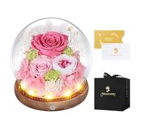 MAMAMIKO Rosa Stabilizzata Vera con Luci LED,Fiori Rose Eterna la Bella e la Bestia,Regalo per Lei,Idee Regalo San Valentino,Compleanno,Anniversario per Donna Fidanzata Mamma,Festa della Mamma(Rosa)