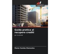 Mame Samba Diamanka Guida pratica al recupero crediti (Tascabile)