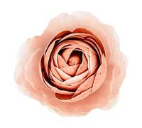 MAMI MILANO Fiore Medio Rosa per DIFFUSORE di FRAGRANZA 200ML Profumo