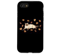 Mamma di Ragdoll Foglie d’Autunno Amore per Gatti Custodia per iPhone SE (2020) / 7/8