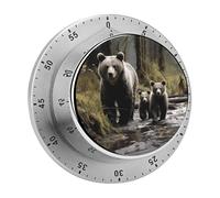 Mamma Orsa e i suoi timer da cucina per cucinare, timer per uova in acciaio inossidabile, orologio magnetico con conto alla rovescia da 60 minuti, meccanico a carica, per classe, palestra, studio, ins