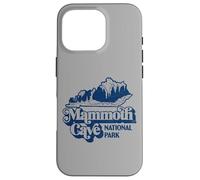 Mammoth Cave National Park Kentucky Cavern Vintage Retro Custodia per iPhone 16 Pro