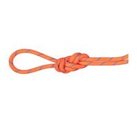 Mammut - 7.5 Alpine Sender Dry Rope - Mezza corda 70 m bianco