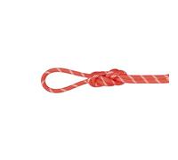 Mammut - 8.0 Alpine Classic Rope - Mezza corda 50 m rosso