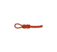 Mammut 8.0 Alpine Core Protect Dry Rope 60m - corda gemella/mezza 60 m Red unisex