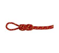Mammut 8.0 Alpine Core Protect Dry Rope 60m - corda gemella/mezza 60 m Red unisex